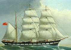 Image of W.D. Penny Ship Portrait