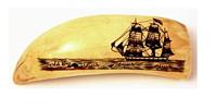 Antique Scrimshaw Whales Tooth
